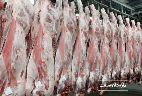 🔵🔴 گوشت تولید قراردادی جامعه عشایری خرداد وارد بازار می‌شود